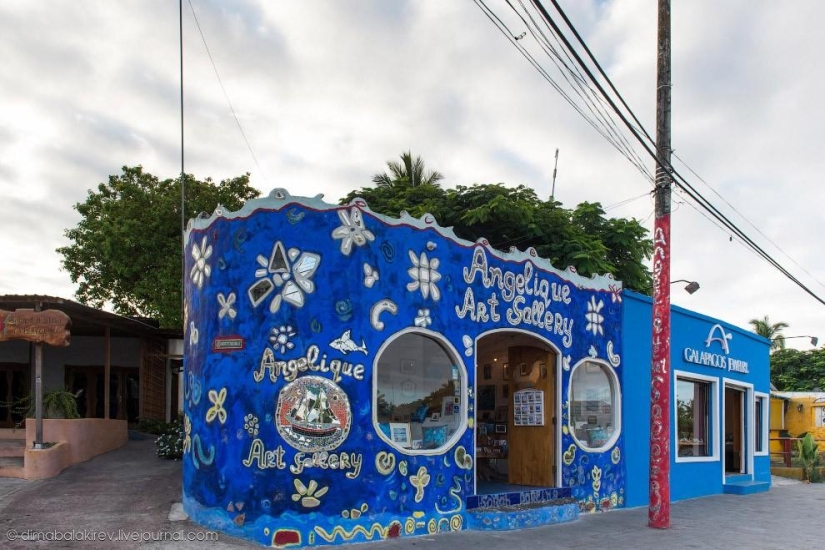 Galápagos. Isla Santa Fe Galápagos. Isla Santa Fe