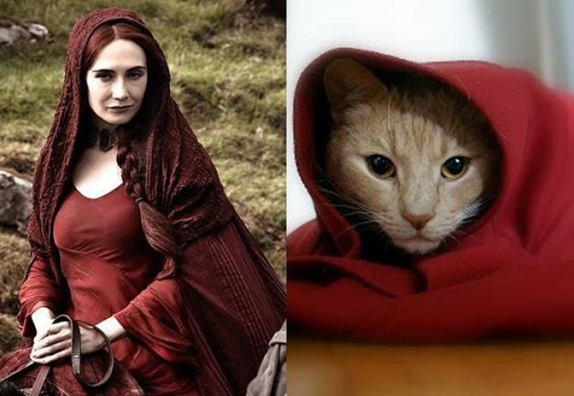 "Game of Thrones" by cats