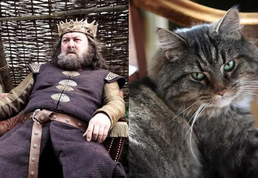"Game of Thrones" by cats