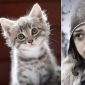 "Game of Thrones" by cats