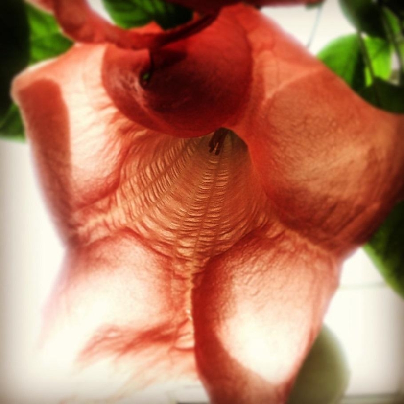 Ganadores de los iPhone Photography Awards 2014 Ganadores de los iPhone Photography Awards 2014