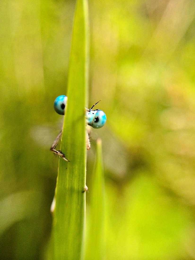 Ganadores de los premios Sony World Photography Awards 2013 Ganadores de los premios Sony World Photography Awards 2013