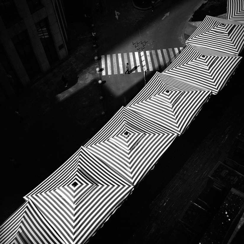 Ganadores de los premios Sony World Photography Awards 2013 Ganadores de los premios Sony World Photography Awards 2013