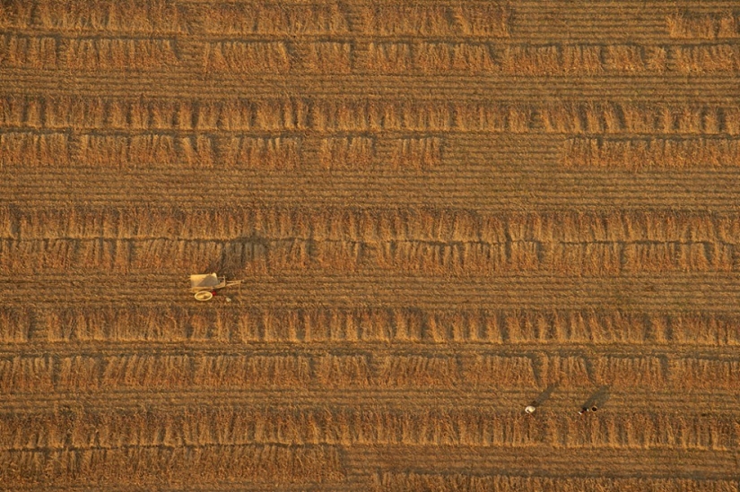 Ganadores del concurso de fotografía de la revista Smithsonian