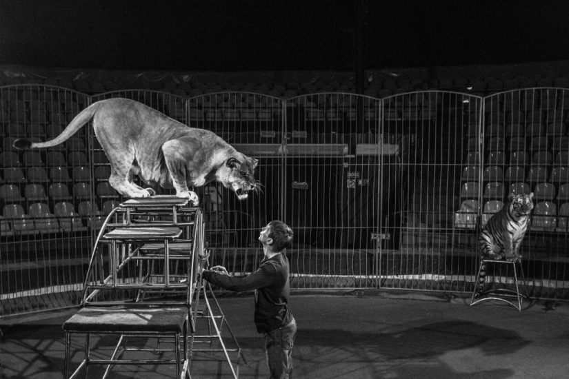 Ganadores del Concurso Internacional de Fotoperiodismo Andrey Stenin
