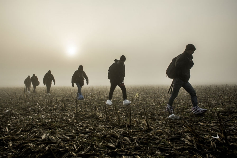 Ganadores del Concurso Internacional de Fotoperiodismo Andrey Stenin