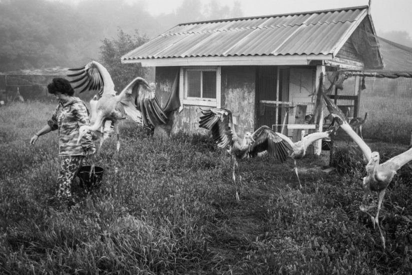 Ganadores del Concurso Internacional de Fotoperiodismo Andrey Stenin