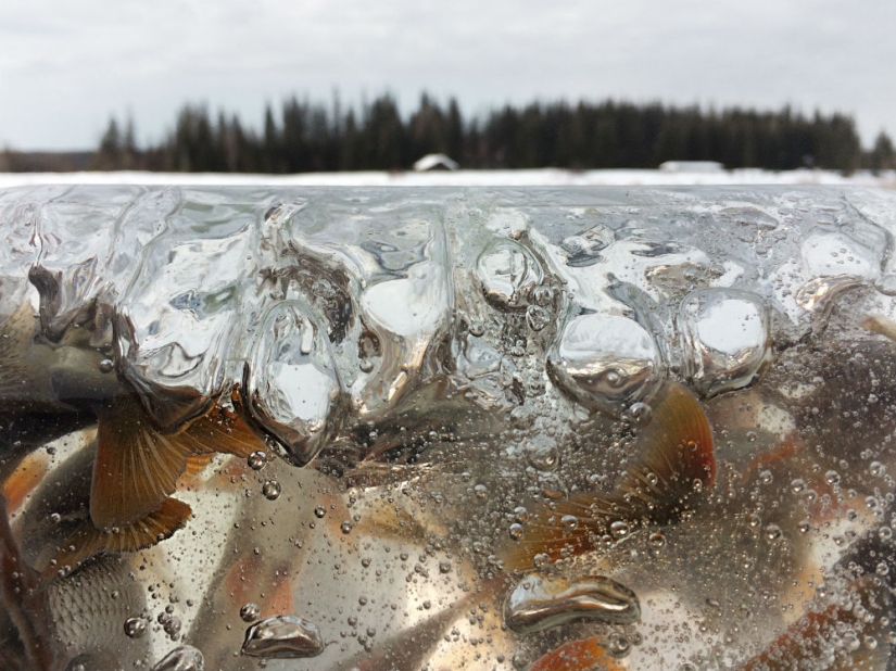Ganadores del Concurso Internacional de Fotoperiodismo Andrey Stenin