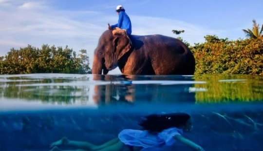 Ganadores Fotógrafo de viajes del año 2013 Ganadores Fotógrafo de viajes del año 2013