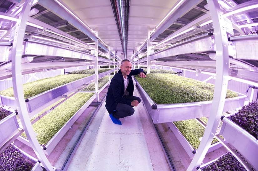 Garden in a bomb shelter