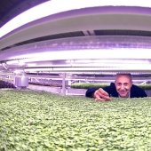 Garden in a bomb shelter