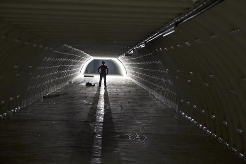 Garden in a bomb shelter