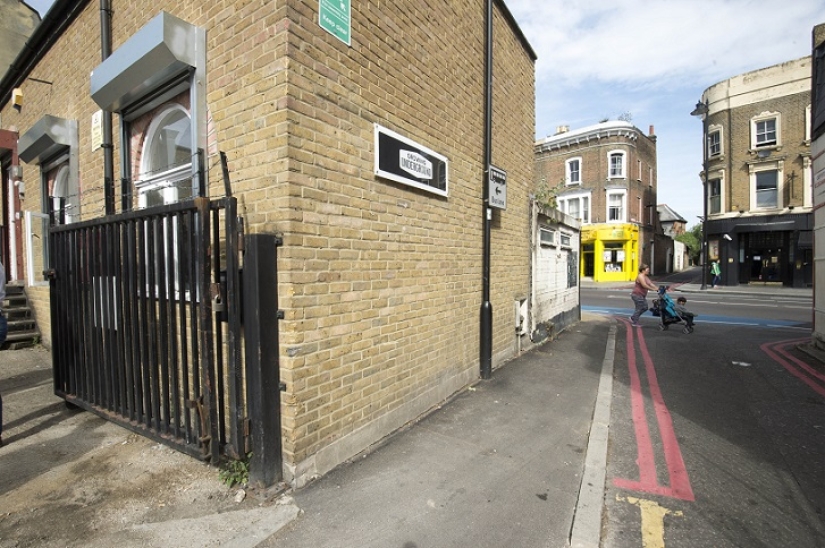 Garden in a bomb shelter