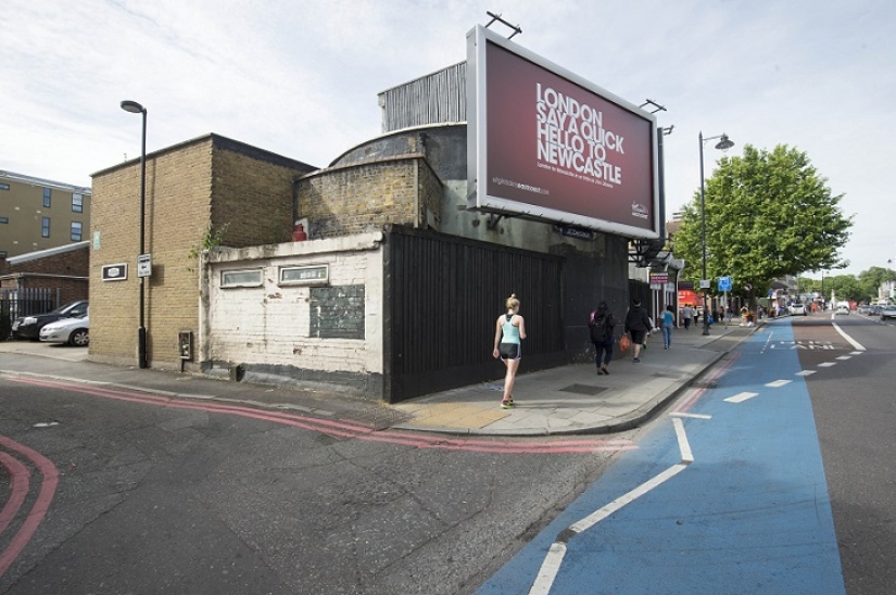 Garden in a bomb shelter