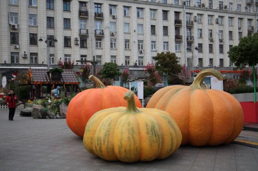 Gastronomic autumn in Moscow