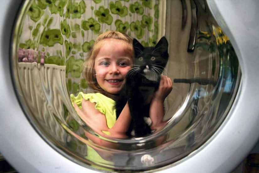 Gatito sobrevivió milagrosamente después de una hora de lavado en una máquina de escribir