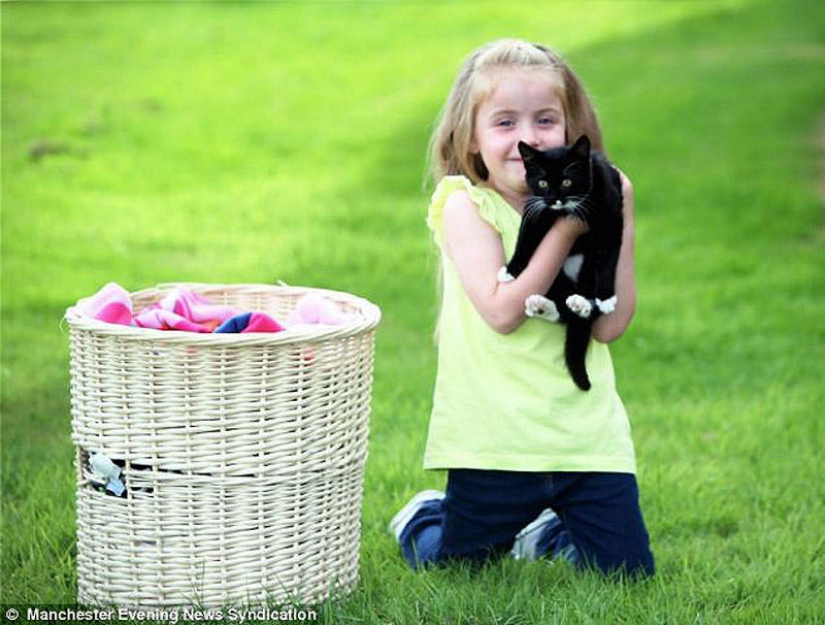 Gatito sobrevivió milagrosamente después de una hora de lavado en una máquina de escribir