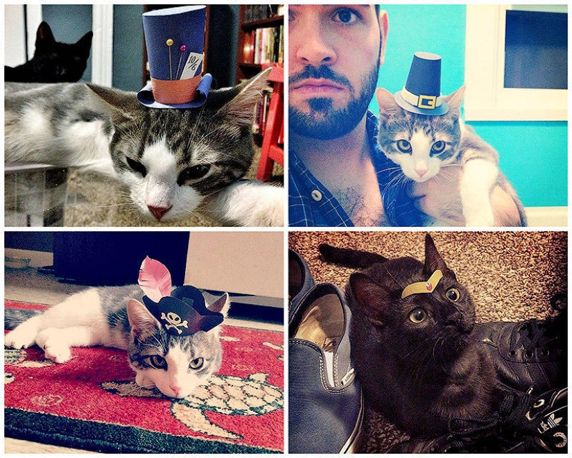 gatitos con sombreros gatitos con sombreros