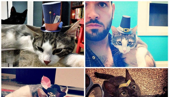 gatitos con sombreros
