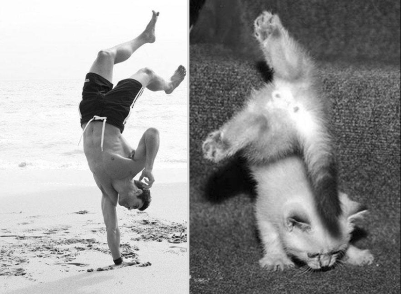 gatitos y chicos gatitos y chicos