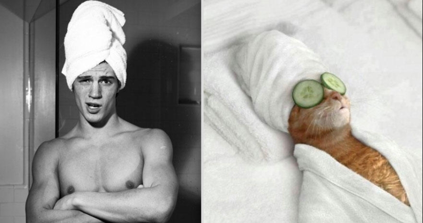 gatitos y chicos gatitos y chicos