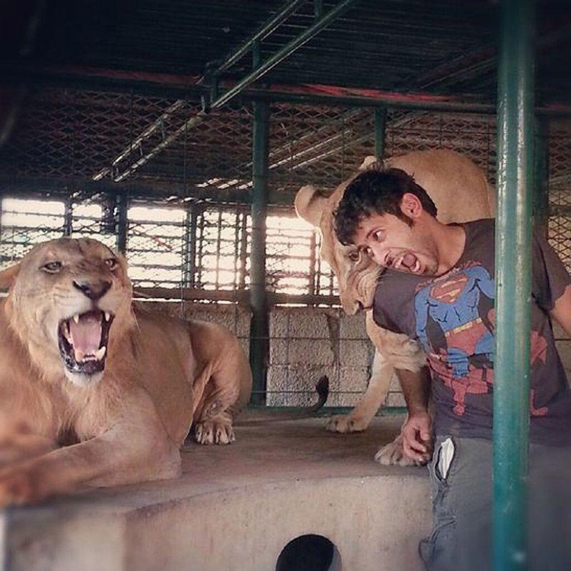 Gatos depredadores y coches caros: el ocio de un árabe millonario