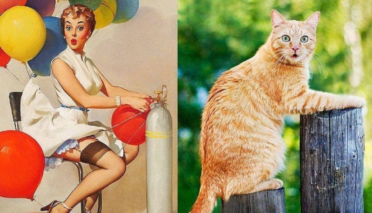 Gatos y niñas en estilo pinup