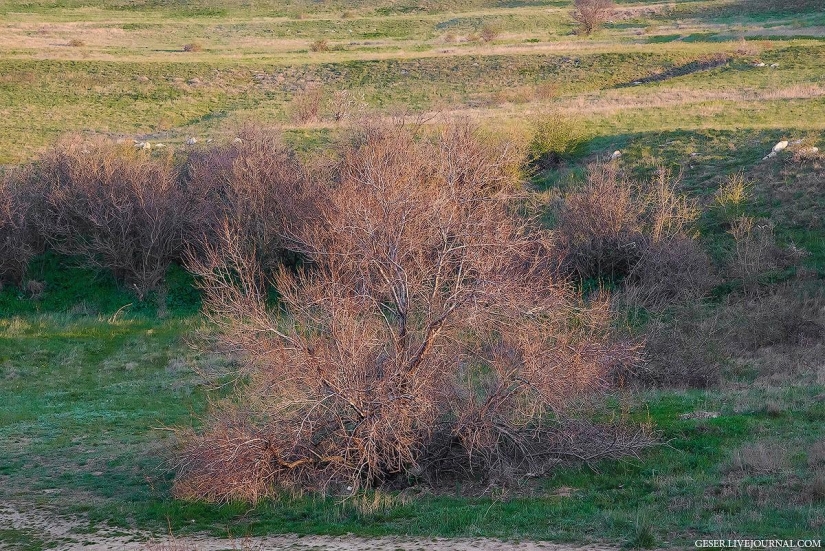General's beaches of the Kerch Peninsula General's beaches of the Kerch Peninsula
