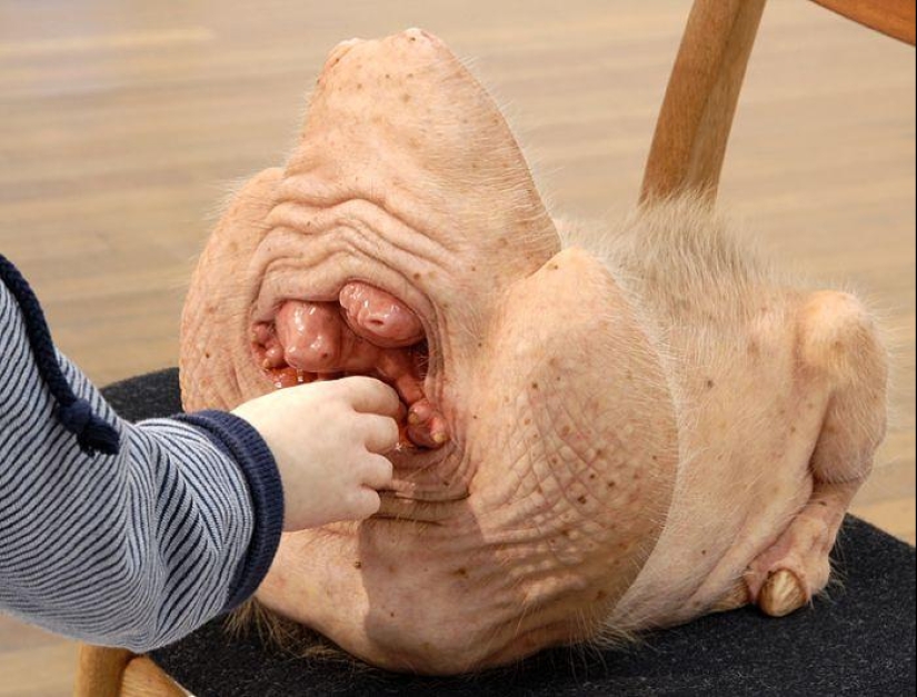 Gentiles monstruos de Patricia Piccinini
