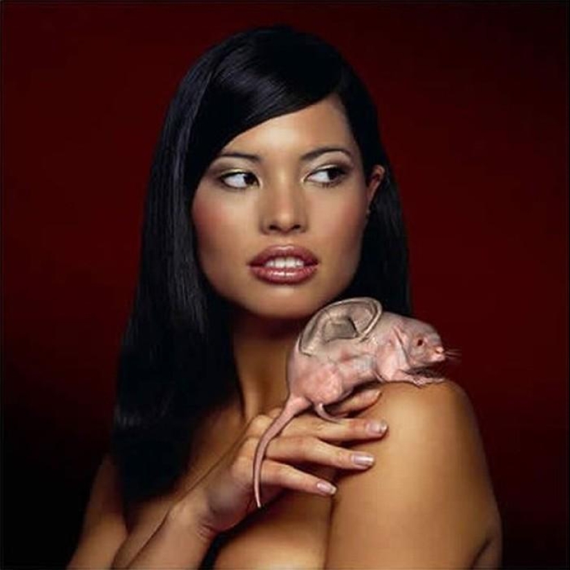 Gentiles monstruos de Patricia Piccinini