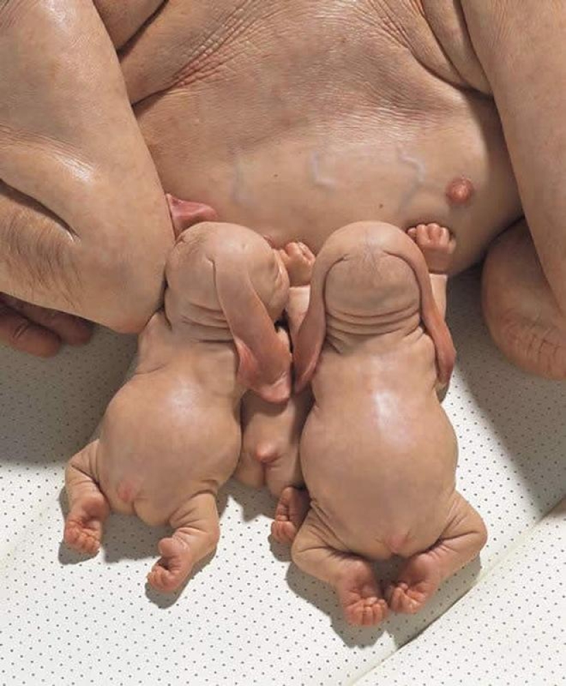 Gentiles monstruos de Patricia Piccinini