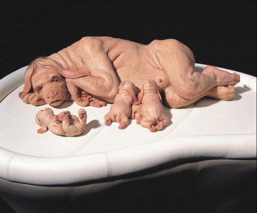 Gentiles monstruos de Patricia Piccinini