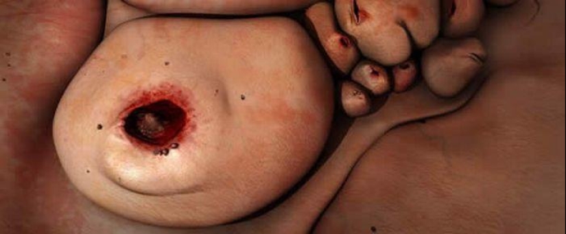 Gentle Monsters by Patricia Piccinini Gentle Monsters by Patricia Piccinini