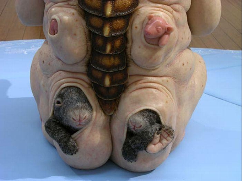 Gentle Monsters by Patricia Piccinini Gentle Monsters by Patricia Piccinini