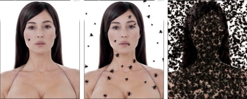 Gerard Ransinant - el fotógrafo más famoso de Francia Gerard Ransinant - el fotógrafo más famoso de Francia