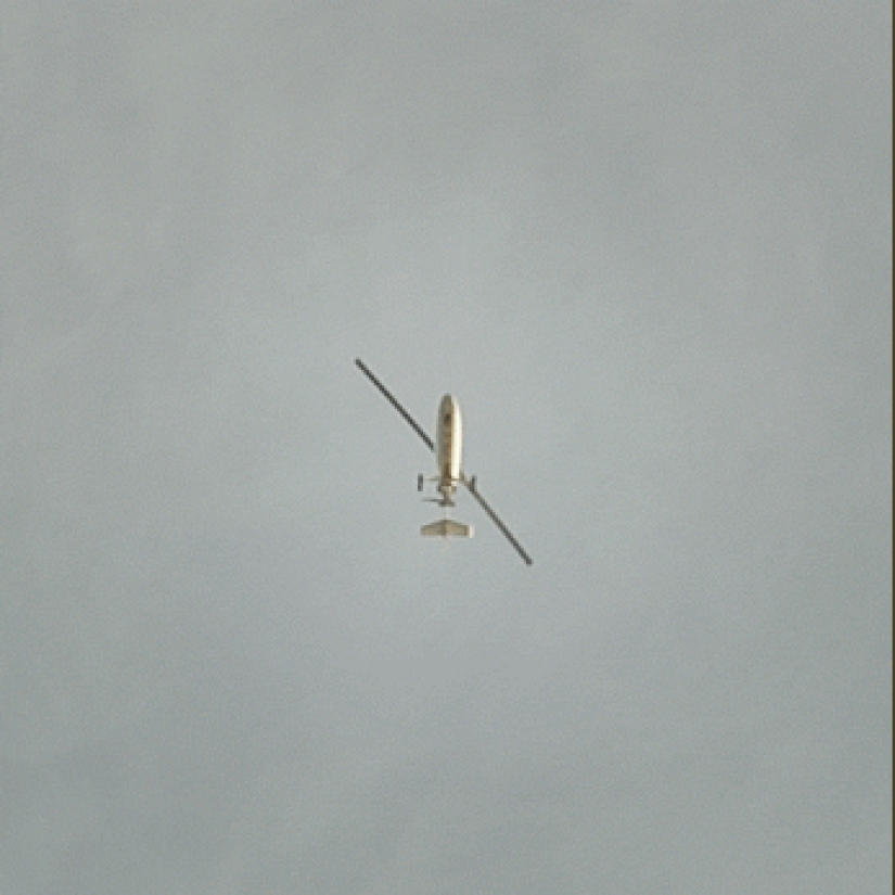 Gifs animados de Micael Reynaud Gifs animados de Micael Reynaud