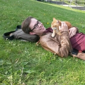 Ginger cat takes care of students from Germany