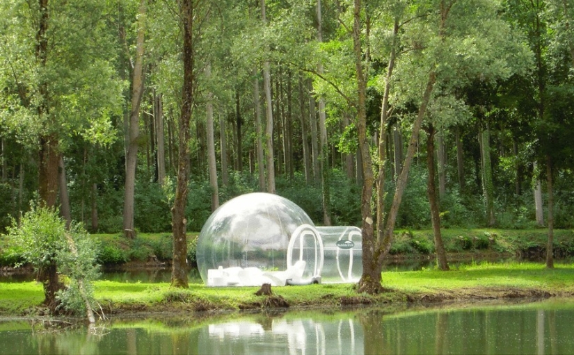 Glamorous camping: a transparent tent for maximum rapprochement with nature