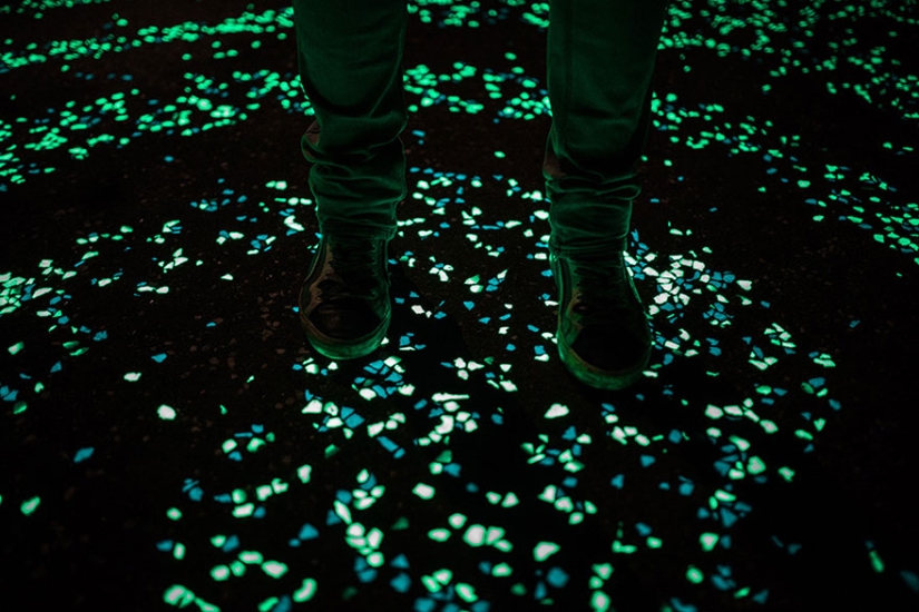 Glowing bike path in the Netherlands