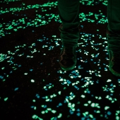 Glowing bike path in the Netherlands