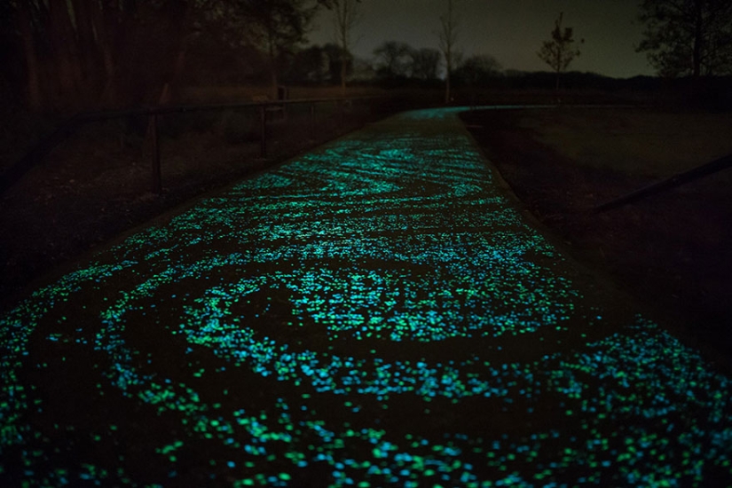 Glowing bike path in the Netherlands
