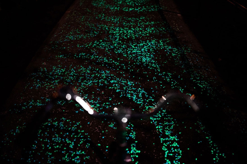 Glowing bike path in the Netherlands
