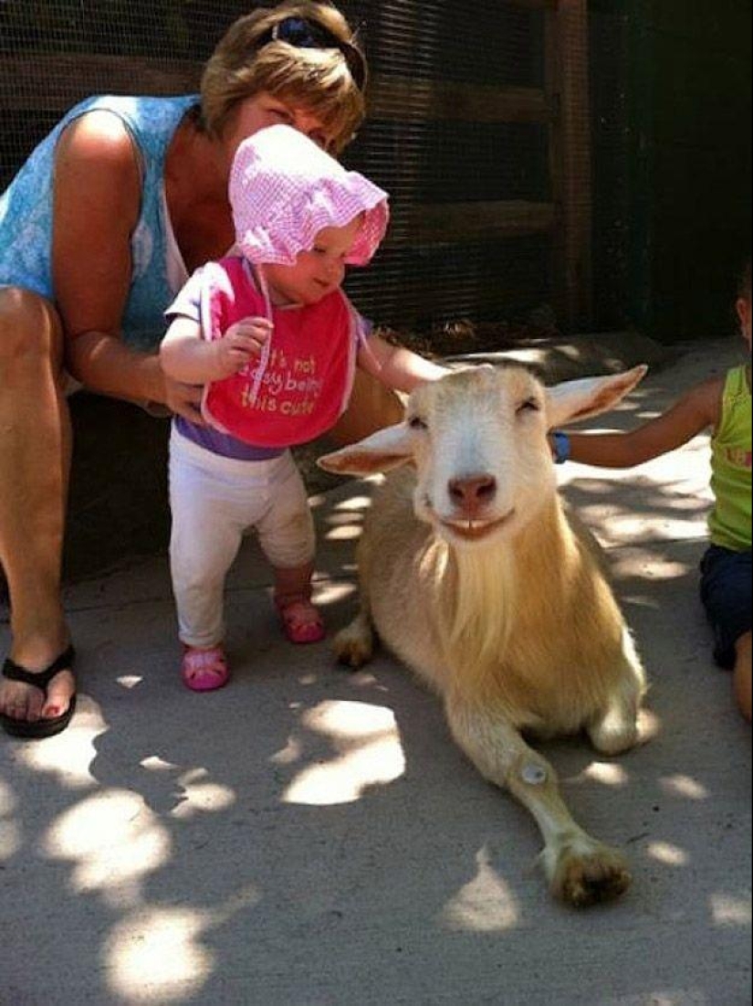 Goat-smiles Goat-smiles