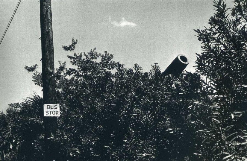 Golpes irónicos de Elliott Erwitt