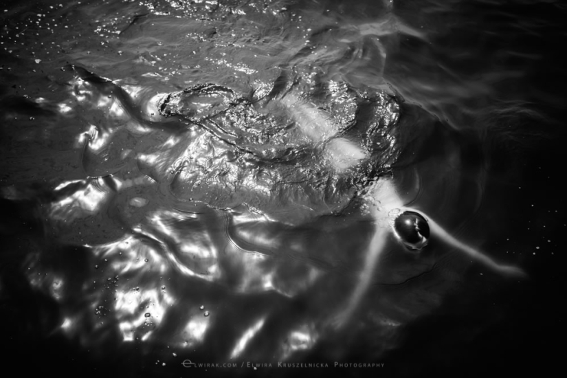 Goodbye, summer: atmospheric summer photos by a Polish photographer Goodbye, summer: atmospheric summer photos by a Polish photographer