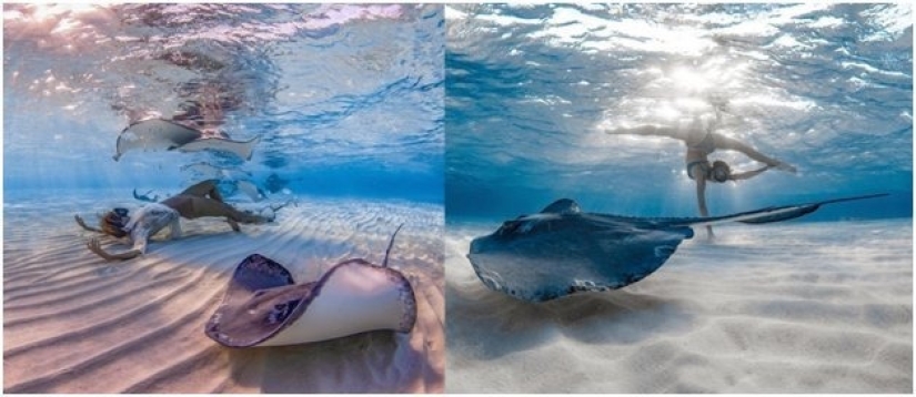 Graceful mermaids in weightlessness in the paintings of an underwater photographer (14 photos) Graceful mermaids in weightlessness in the paintings of an underwater photographer (14 photos)