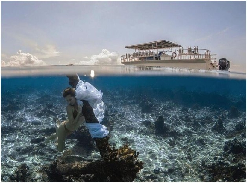 Graciosas sirenas en ingravidez en las pinturas de un fotógrafo submarino (14 fotos)