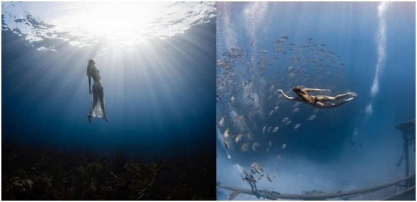 Graciosas sirenas en ingravidez en las pinturas de un fotógrafo submarino (14 fotos)