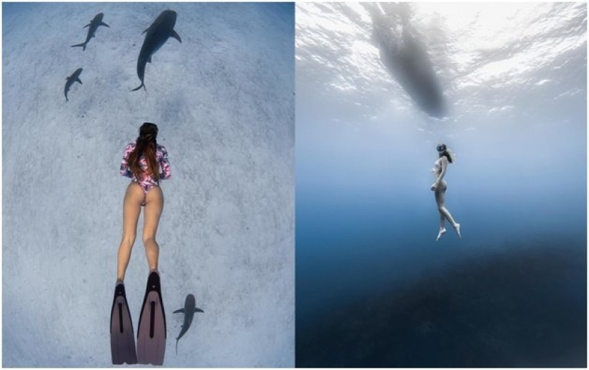 Graciosas sirenas en ingravidez en las pinturas de un fotógrafo submarino (14 fotos)