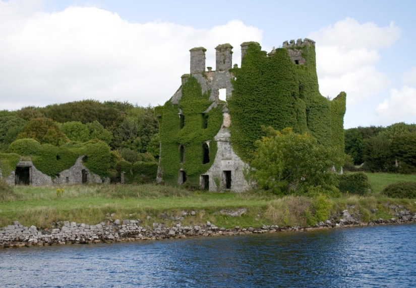 Green houses Green houses